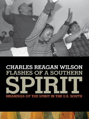 cover image of Flashes of a Southern Spirit